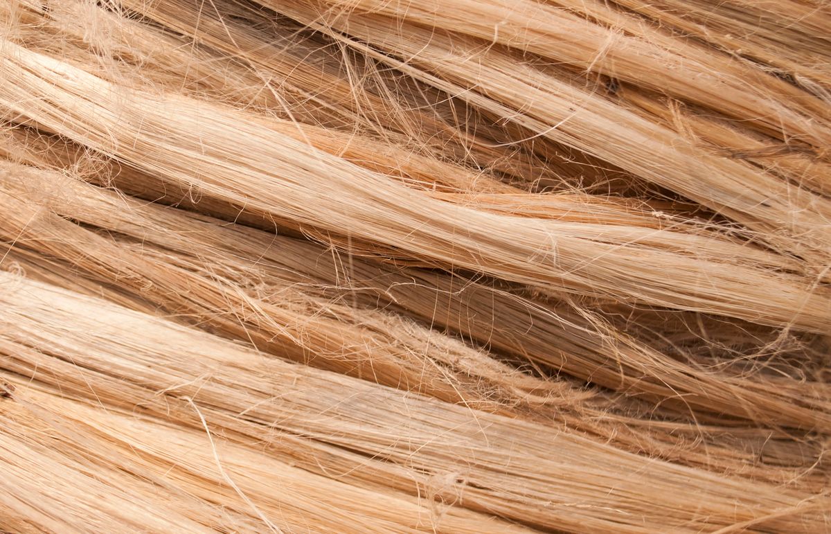 High-resolution close-up of intertwined natural fibers, showing rough, textured strands