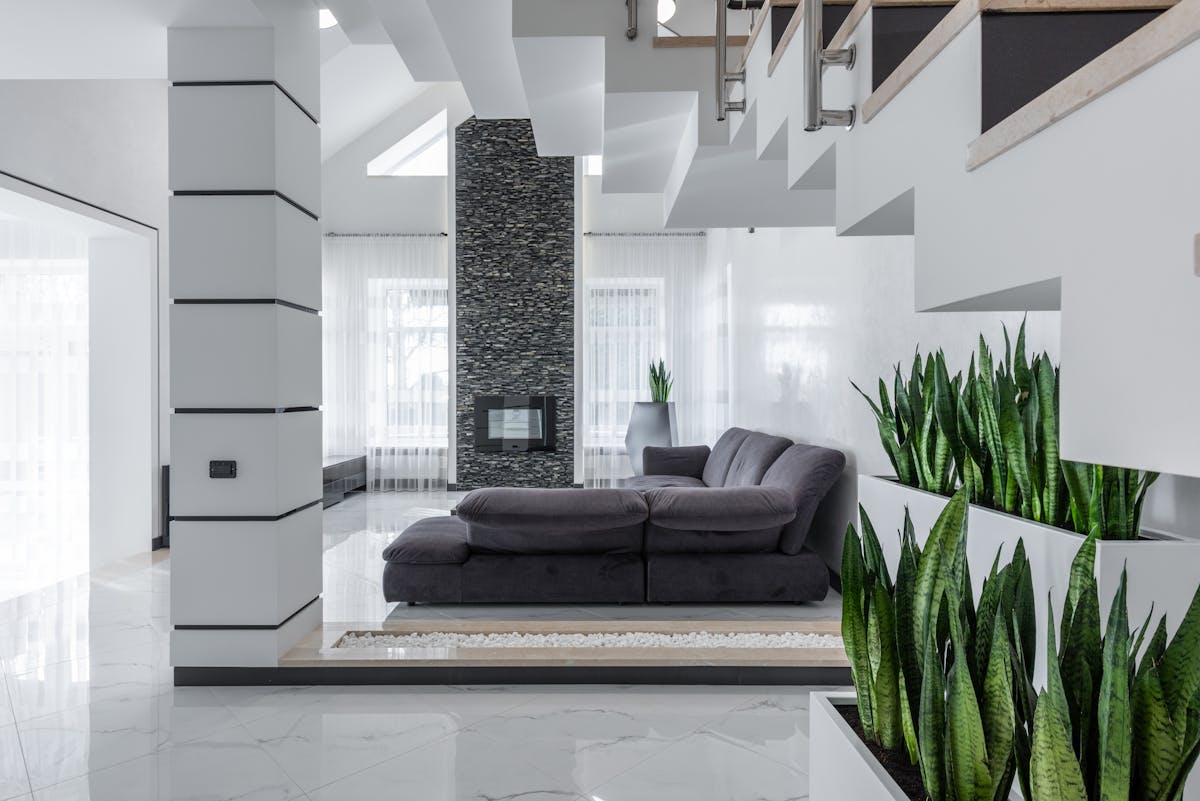 Modern spacious villa interior with large living room featuring fresh potted houseplants including sansevieria on shelves near a staircase demonstrating popular indoor use of Dracaena trifasciata cultivars