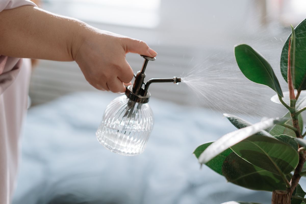A hand mists an indoor plant with a vintage spray bottle